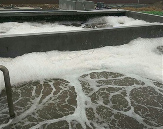 黑伟的华人策略综合讨论大厅质量可靠寿命长！