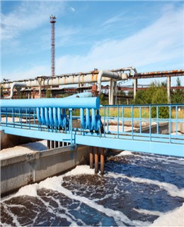 华人策略综合讨论大厅celue