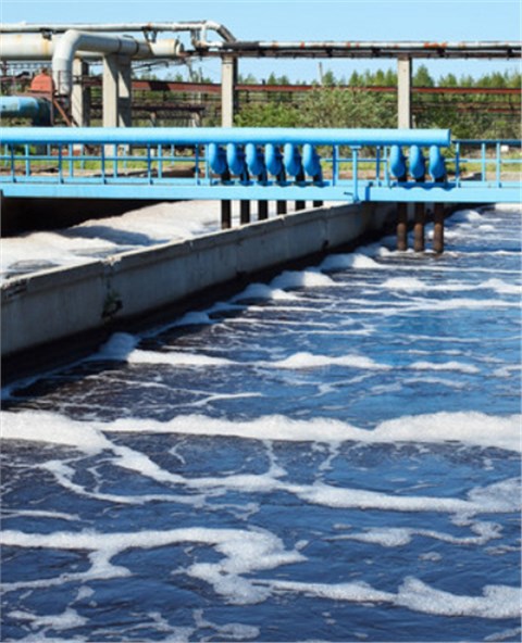 华人策略综合讨论大厅celue