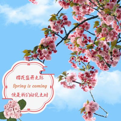 19级风景园林中加一班陈蕙㯋作品