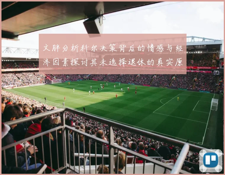 文胖分析科尔决策背后的情感与经济因素探讨其未选择退休的真实原因