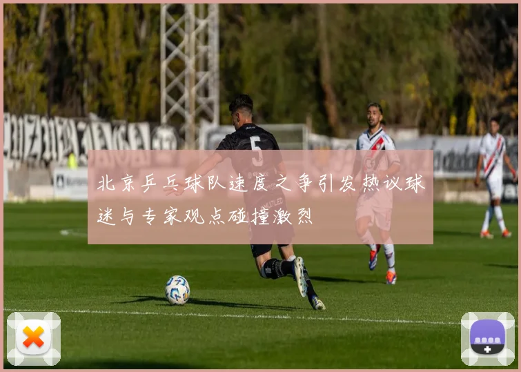 北京乒乓球队速度之争引发热议球迷与专家观点碰撞激烈